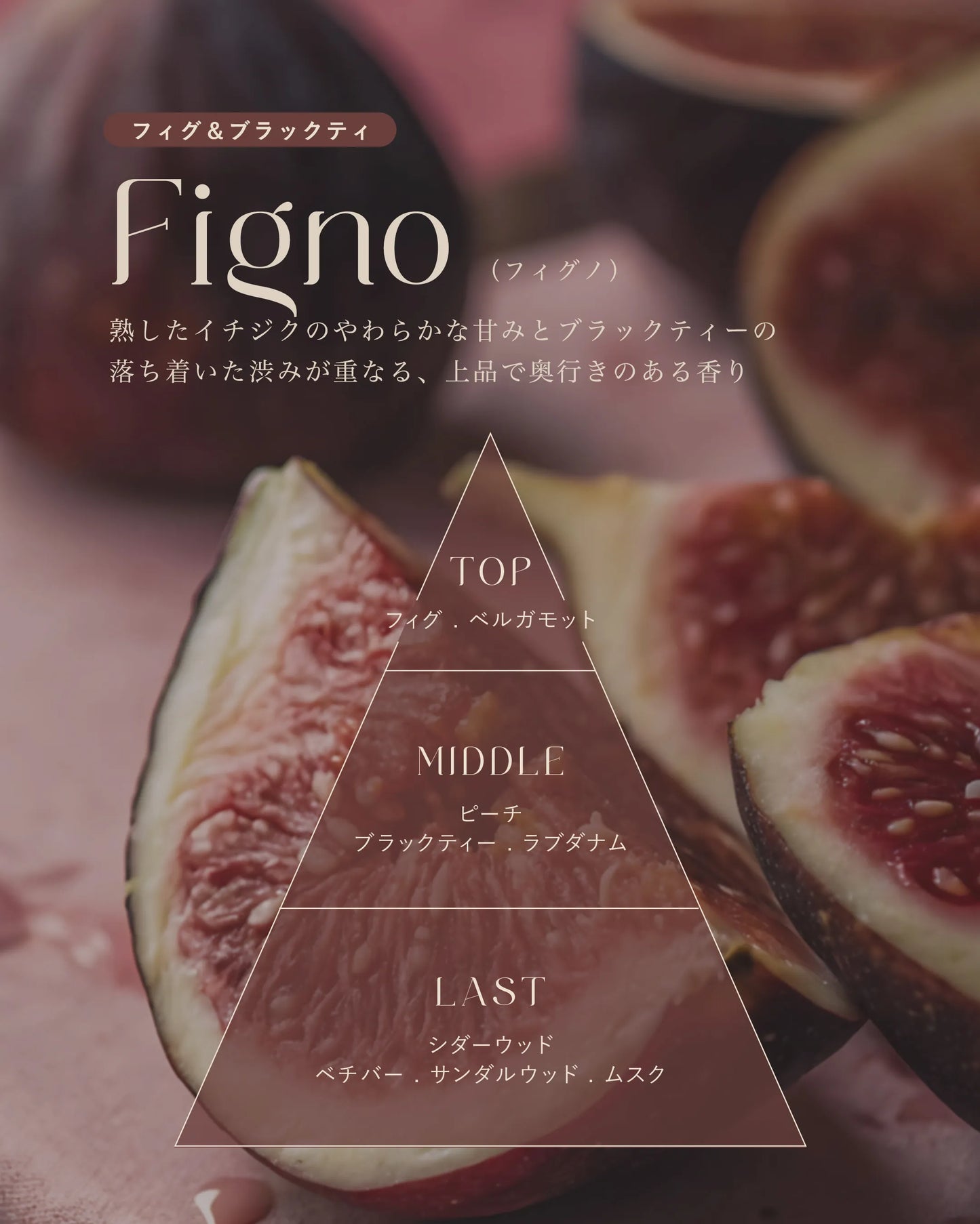 Figno